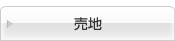 売地
